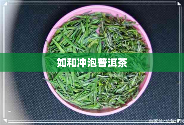 如和冲泡普洱茶