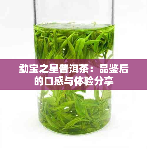 勐宝之星普洱茶：品鉴后的口感与体验分享