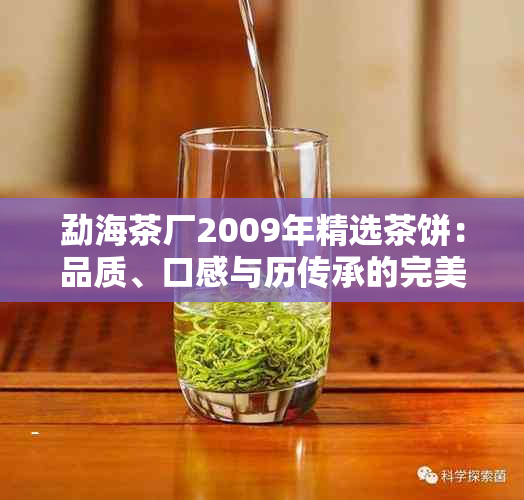 勐海茶厂2009年精选茶饼：品质、口感与历传承的完美结合