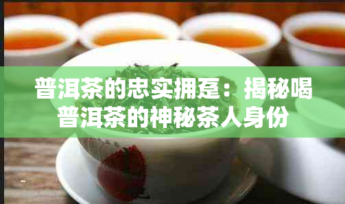 普洱茶的忠实拥趸：揭秘喝普洱茶的神秘茶人身份