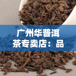 广州华普洱茶专卖店：品茗普洱、茶叶知识、茶道文化一站购齐