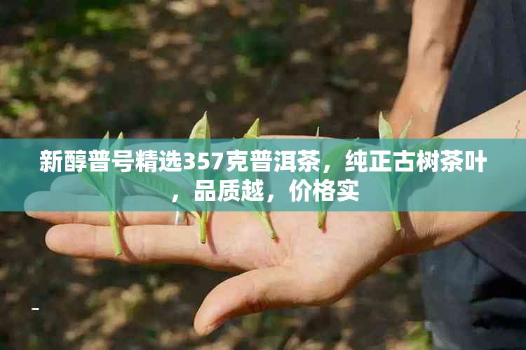 新醇普号精选357克普洱茶，纯正古树茶叶，品质越，价格实