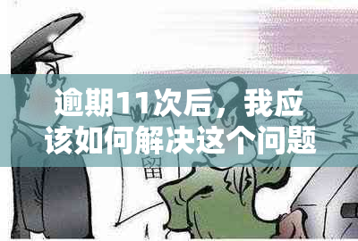 逾期11次后，我应该如何解决这个问题并避免未来的信用问题？