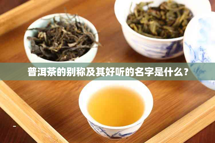 普洱茶的别称及其好听的名字是什么？