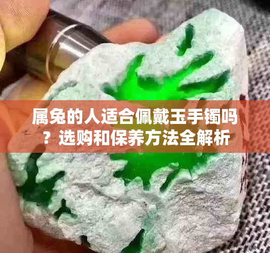 属兔的人适合佩戴玉手镯吗？选购和保养方法全解析