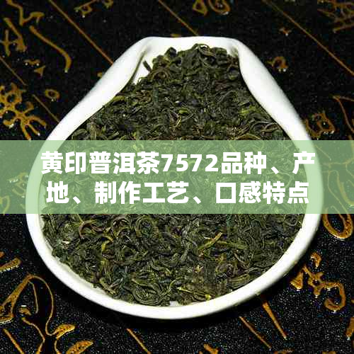 黄印普洱茶7572品种、产地、制作工艺、口感特点及价格全面解析