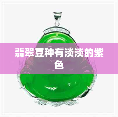 翡翠豆种有淡淡的紫色