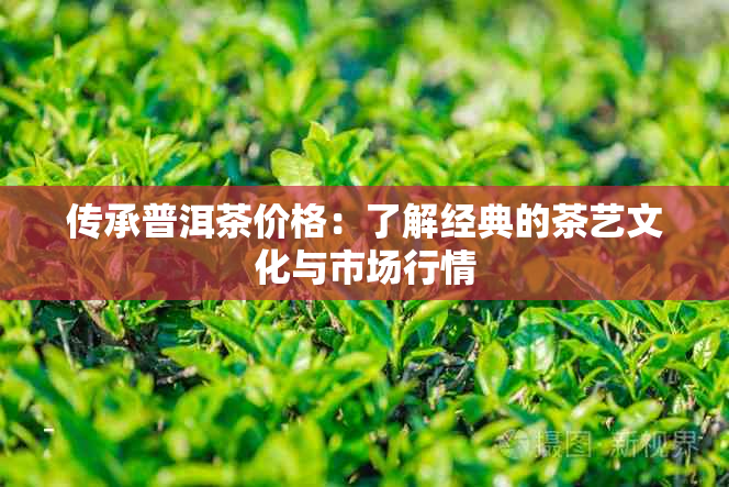 传承普洱茶价格：了解经典的茶艺文化与市场行情