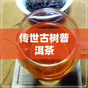 传世古树普洱茶