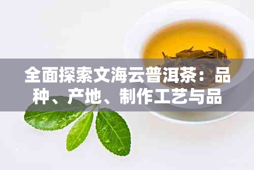 全面探索文海云普洱茶：品种、产地、制作工艺与品鉴技巧的全方位解析