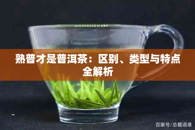 熟普才是普洱茶：区别、类型与特点全解析