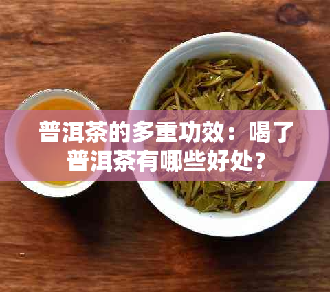 普洱茶的多重功效：喝了普洱茶有哪些好处？