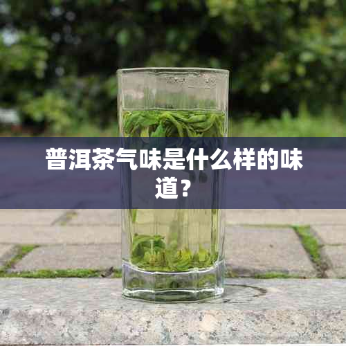 普洱茶气味是什么样的味道？