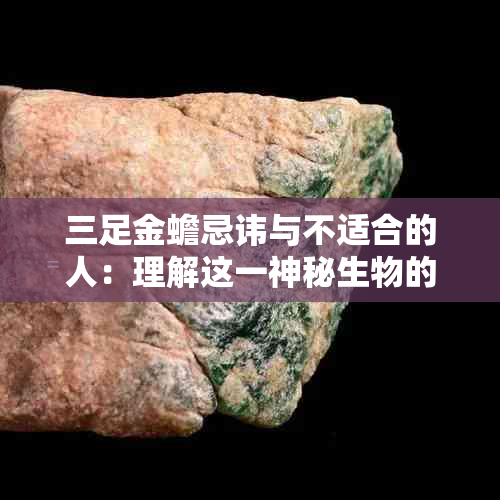 三足金蟾忌讳与不适合的人：理解这一神秘生物的禁忌与适用性。