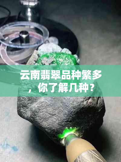 云南翡翠品种繁多，你了解几种？