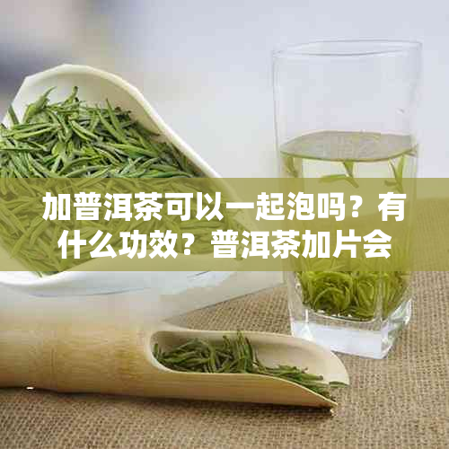 加普洱茶可以一起泡吗？有什么功效？普洱茶加片会怎么样？