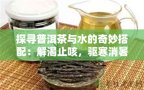 探寻普洱茶与水的奇妙搭配：解渴止咳，驱寒消暑，还能提神醒脑的多重功效