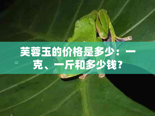 芙蓉玉的价格是多少：一克、一斤和多少钱？