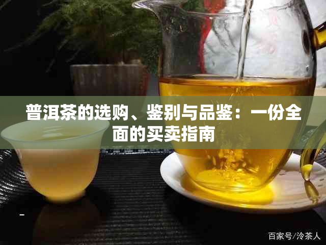 普洱茶的选购、鉴别与品鉴：一份全面的买卖指南