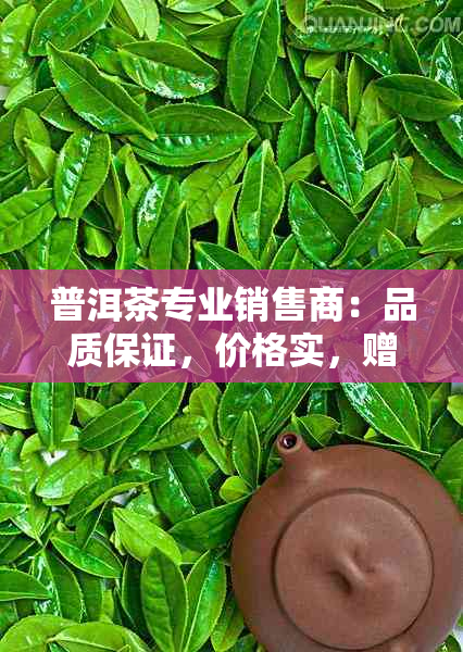 普洱茶专业销售商：品质保证，价格实，赠品与促销活动相送