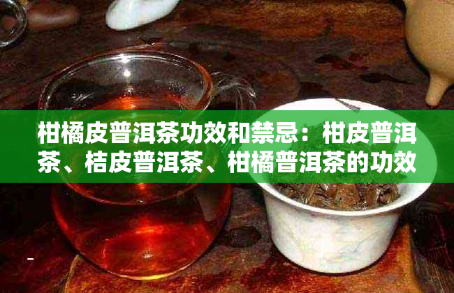 柑橘皮普洱茶功效和禁忌：柑皮普洱茶、桔皮普洱茶、柑橘普洱茶的功效与作用