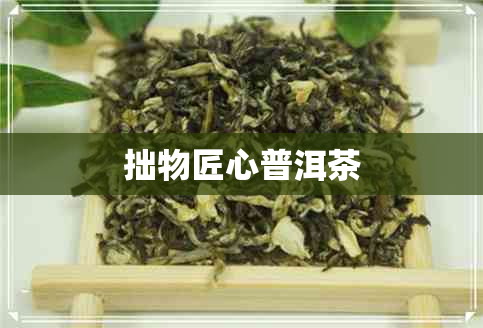 拙物匠心普洱茶