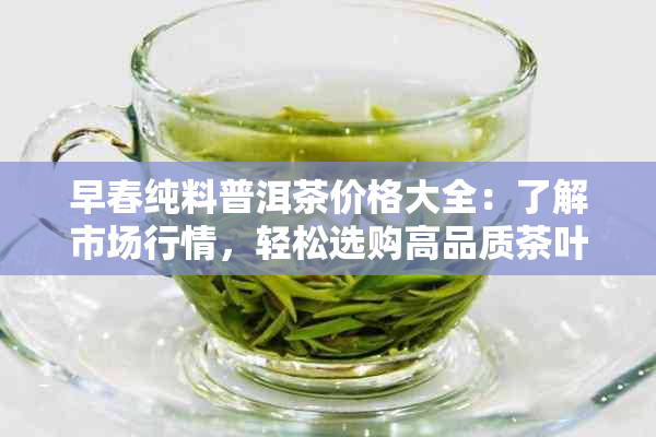 早春纯料普洱茶价格大全：了解市场行情，轻松选购高品质茶叶