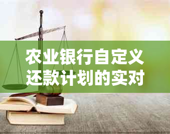 农业银行自定义还款计划的实对用户信用及账户影响分析