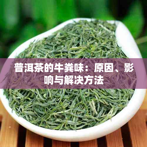 普洱茶的牛粪味：原因、影响与解决方法