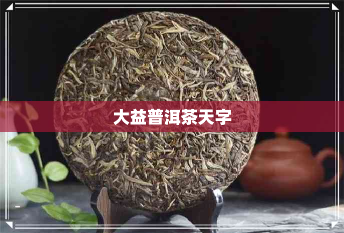 大益普洱茶天字