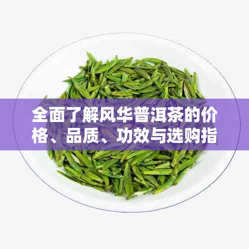 全面了解风华普洱茶的价格、品质、功效与选购指南