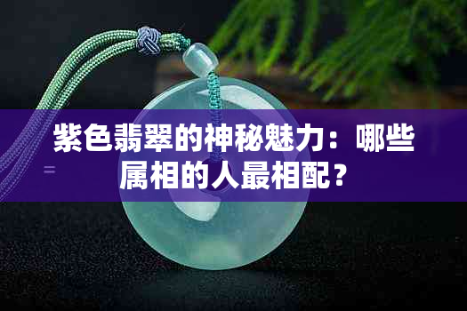 紫色翡翠的神秘魅力：哪些属相的人最相配？