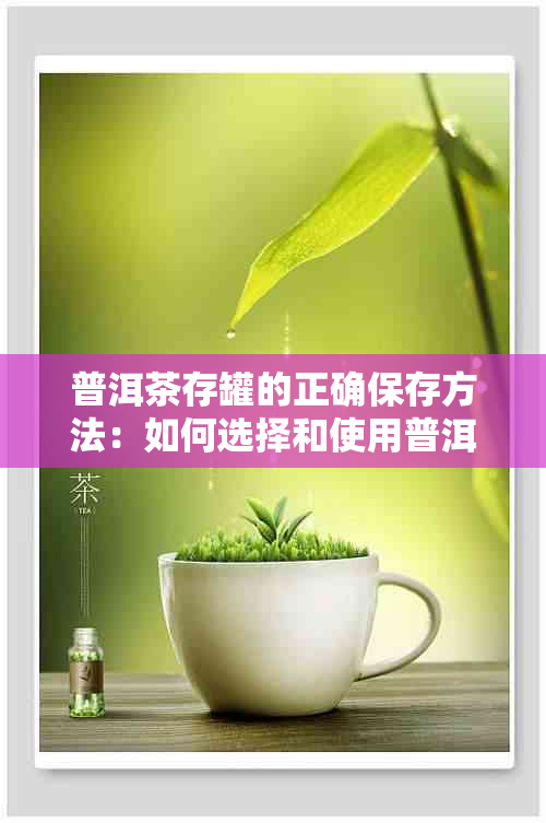 普洱茶存罐的正确保存方法：如何选择和使用普洱茶茶盒