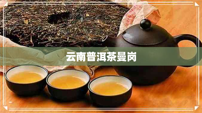 云南普洱茶曼岗