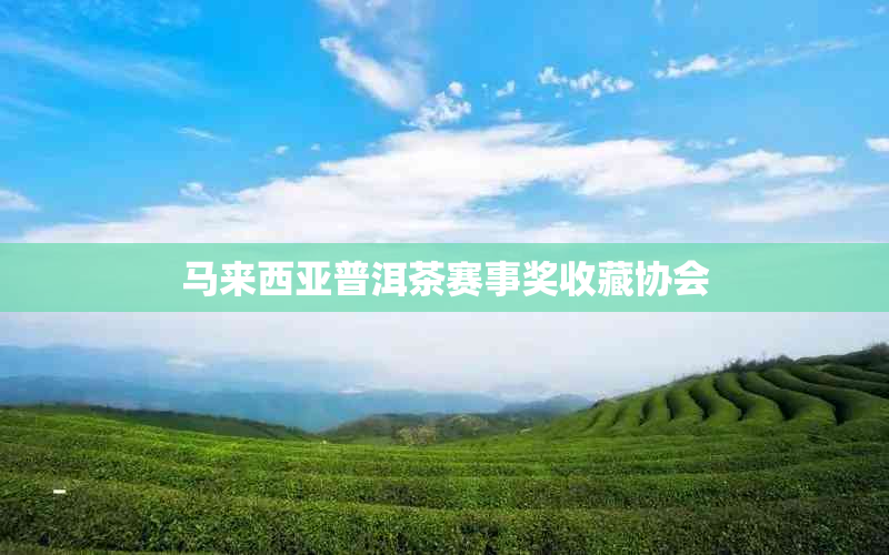 马来西亚普洱茶赛事奖收藏协会