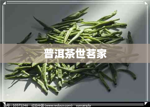 普洱茶世茗家