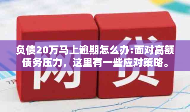 负债20万马上逾期怎么办:面对高额债务压力，这里有一些应对策略。