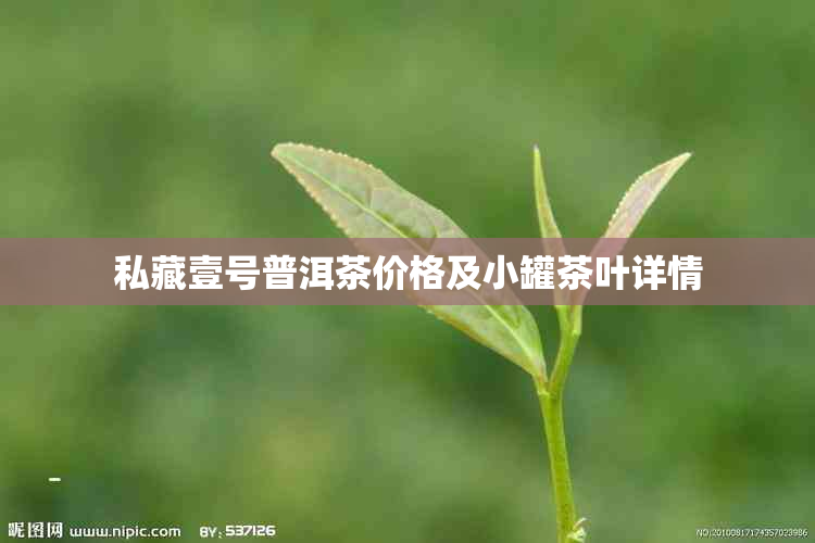 私藏壹号普洱茶价格及小罐茶叶详情