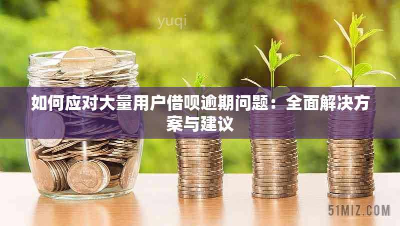 如何应对大量用户借呗逾期问题：全面解决方案与建议