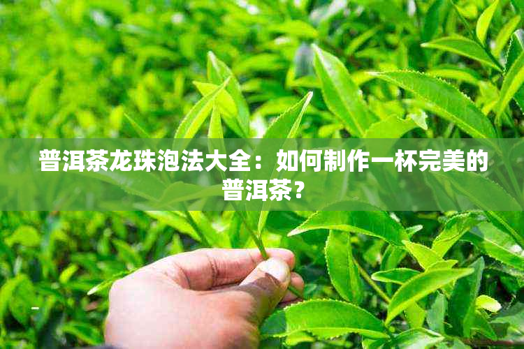 普洱茶龙珠泡法大全：如何制作一杯完美的普洱茶？