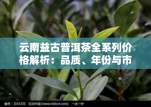 云南益古普洱茶全系列价格解析：品质、年份与市场行情一览