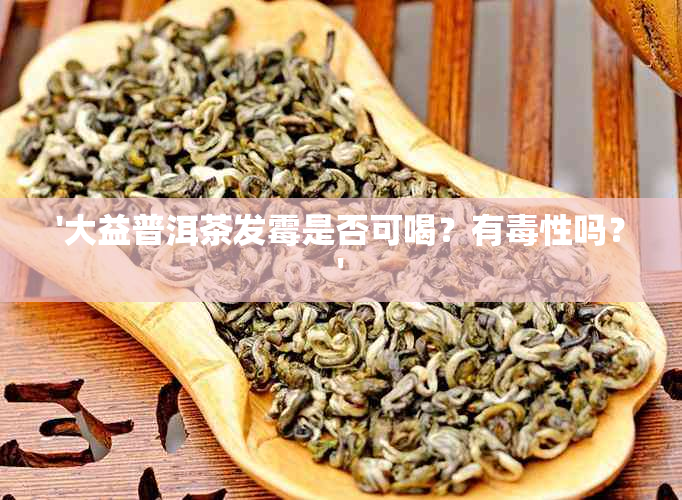 '大益普洱茶发霉是否可喝？有性吗？'