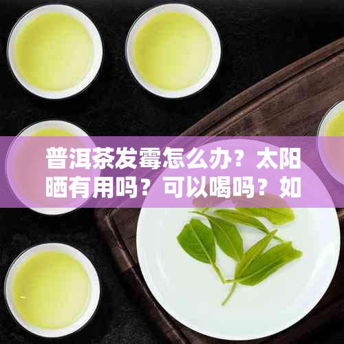 普洱茶发霉怎么办？太阳晒有用吗？可以喝吗？如何处理？