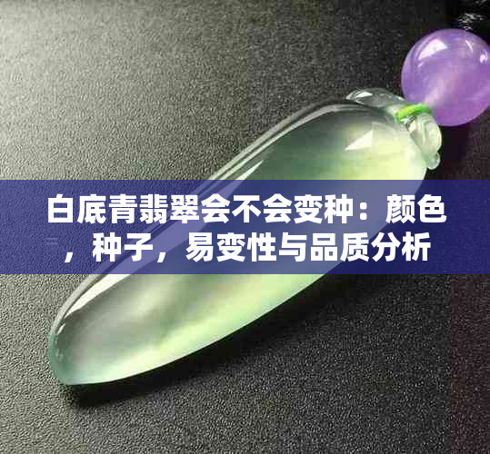 白底青翡翠会不会变种：颜色，种子，易变性与品质分析