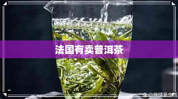 法国有卖普洱茶