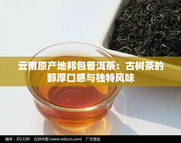 云南原产地邦包普洱茶：古树茶的醇厚口感与独特风味