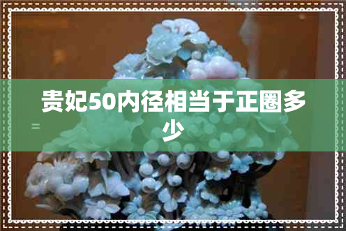 贵妃50内径相当于正圈多少