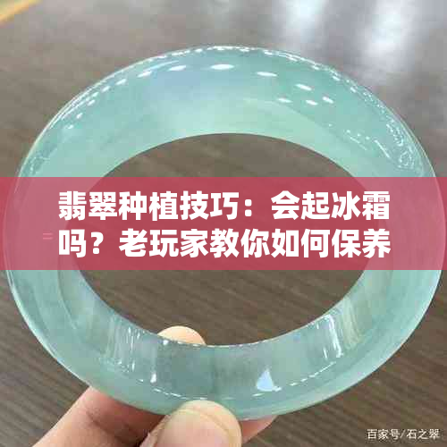 翡翠种植技巧：会起冰霜吗？老玩家教你如何保养翡翠