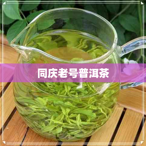 同庆老号普洱茶