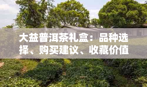 大益普洱茶礼盒：品种选择、购买建议、收藏价值与品饮技巧全面解析